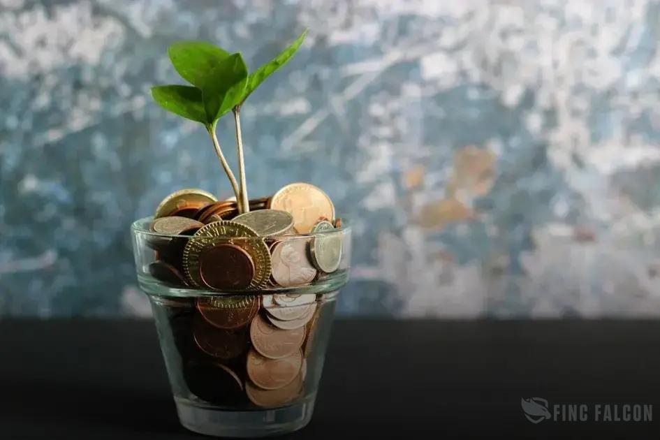 How to Spot Undervalued Stocks Before They Skyrocket